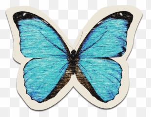 Online Butterfly Retro Animal Sticker - Butterfly Life Is Strange Png,Retro Png