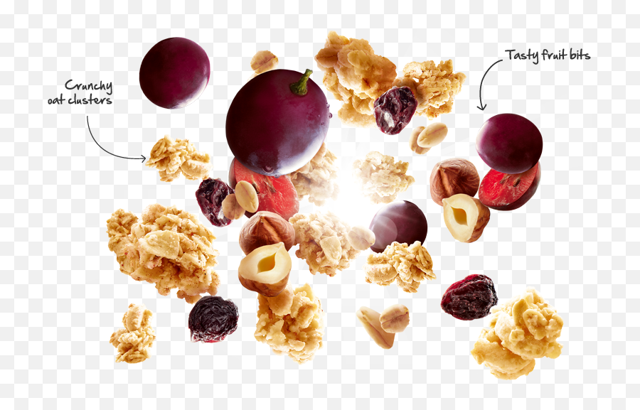 Home - Oats Explosion Png,Cereal Png