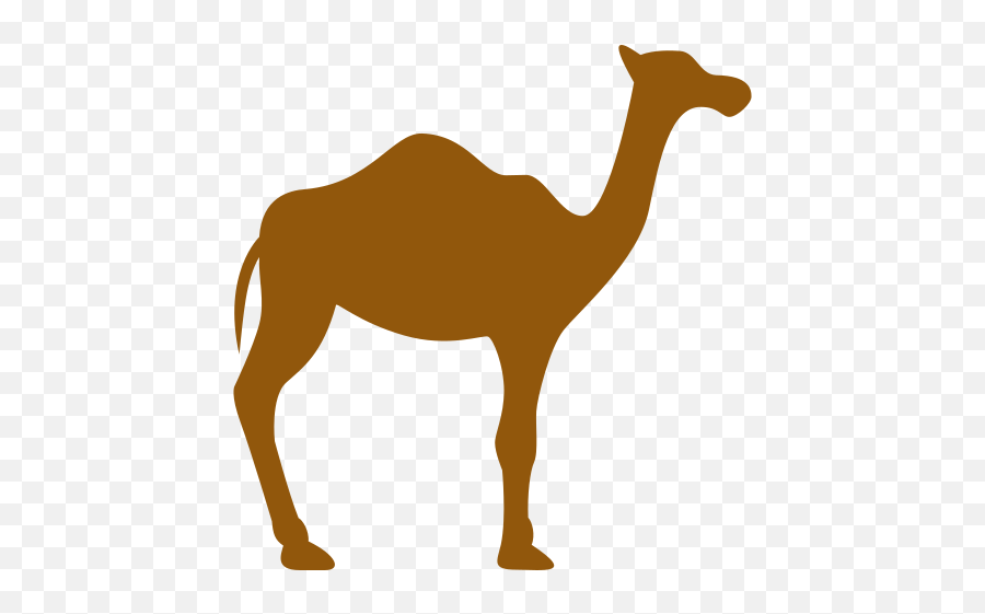 Camel Safari In Bikaner Camelman - Unta Silhouette Png,Camel Transparent Background