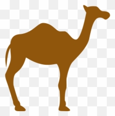 Camel Safari In Bikaner Camelman - Unta Silhouette png