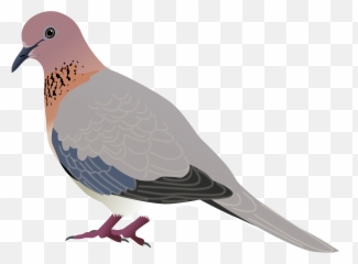 Vector Doves Svg - Diagram Of Laughing png