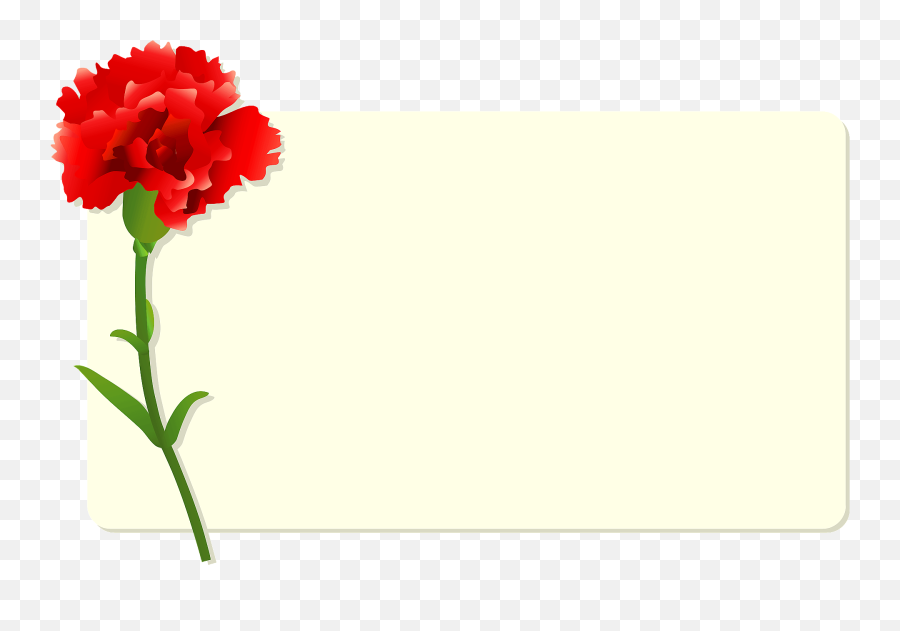 Carnation Mothers Day Card Clipart - Transparent Mothers Day Card Png,Carnation Png