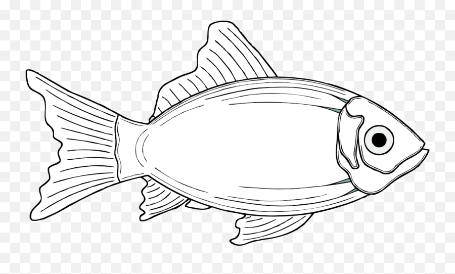 Cod Fish White Png Svg Clip Art For - Worst Day Fishing Is Better Than,Cod Png
