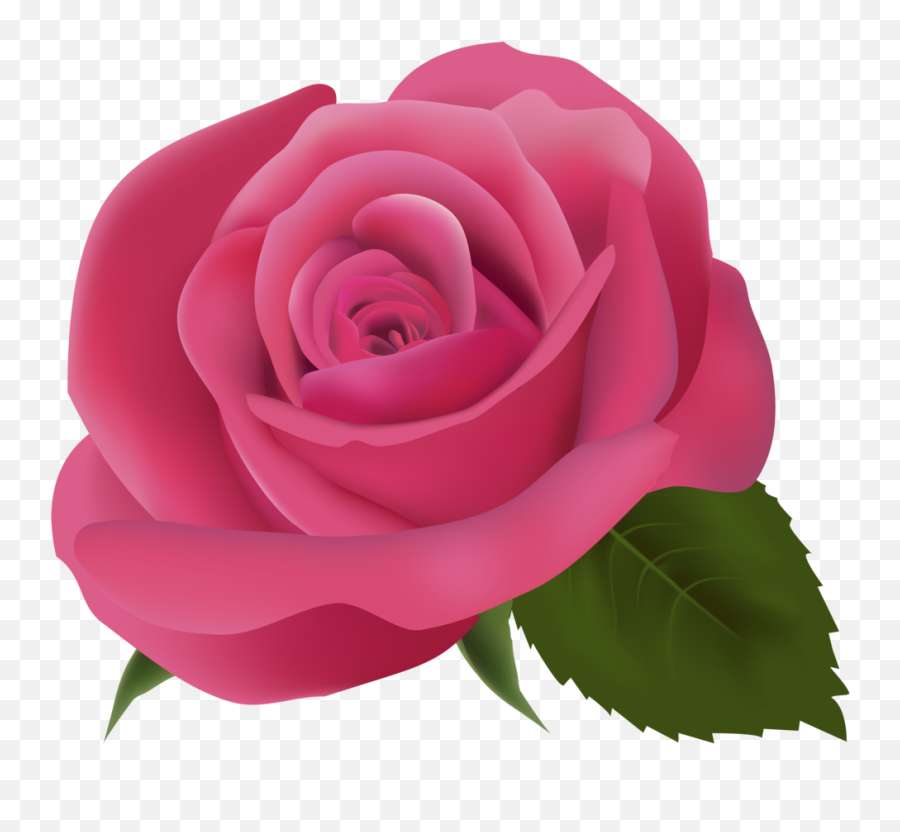 Pink Rose Png Clipartimage - Transparent Background Pink Rose Transparent,Pink Rose Petals Png