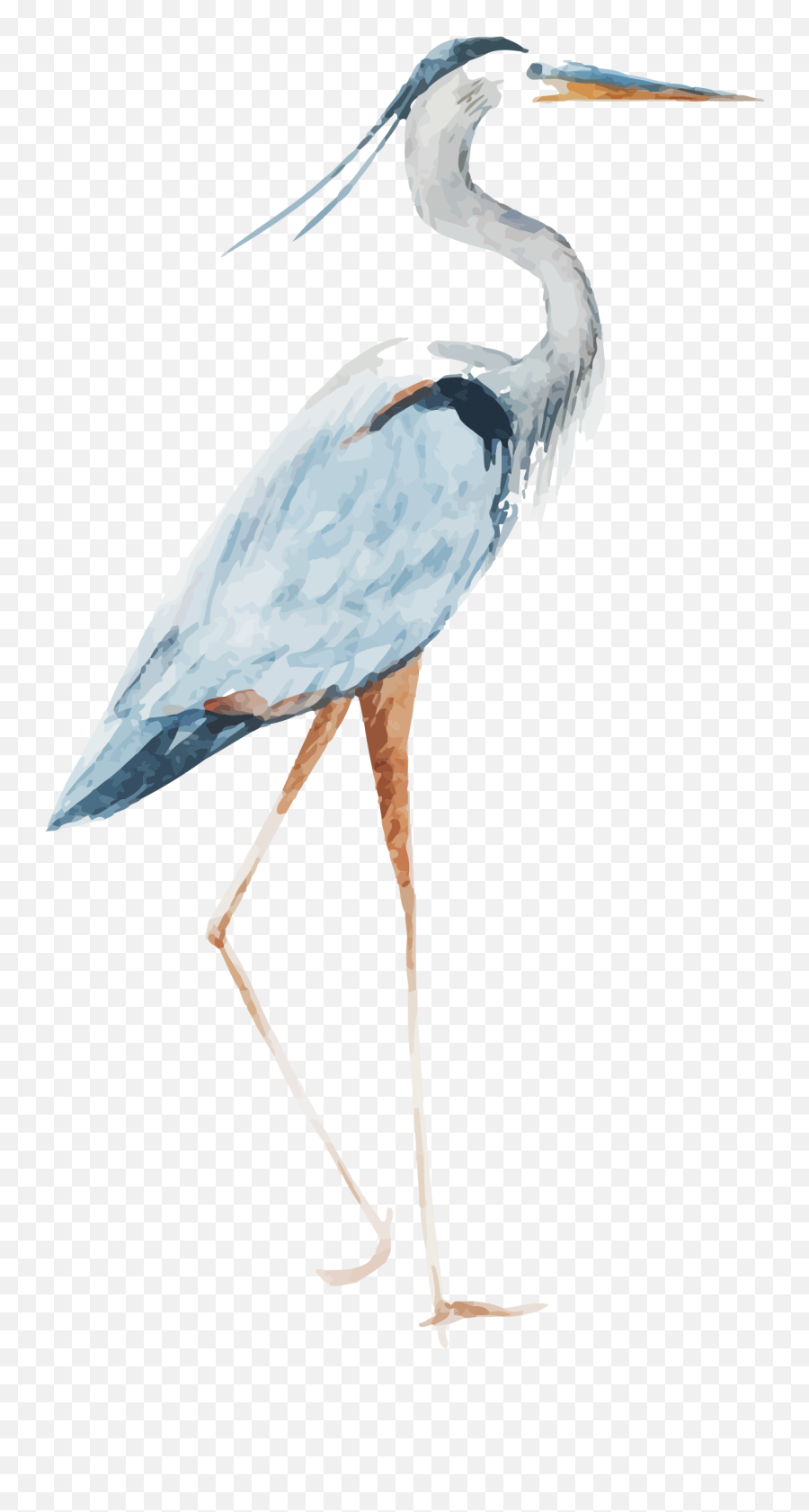 Watercolor Bird Png - Red Crowned Crane Png 4759811 Vippng Watercolor Crane Png,Crane Bird Png