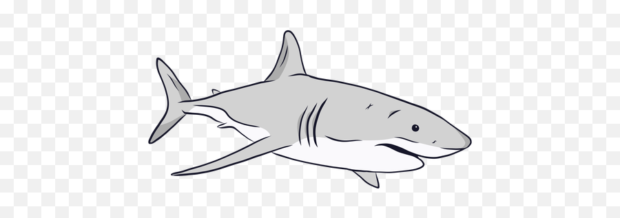 Shark Gills Fin Tail Illustration - Transparent Png U0026 Svg Cola De Tiburon Dibujo,Fin Png