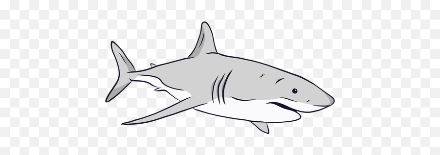 Free Free 265 Shark Tail Svg SVG PNG EPS DXF File