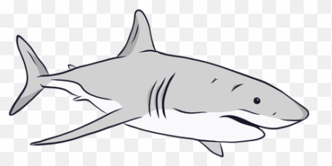 Shark Gills Fin Tail Illustration - Transparent Png U0026 Svg Cola De Tiburon Dibujo,Fin Png