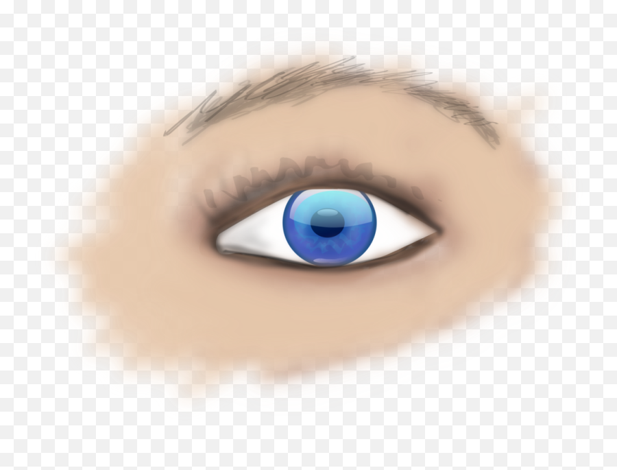 Eye Clipart Human - Part Of Eye Is Donated During Eye Png,Eye Transparent