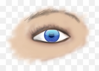Eye Clipart Human - Part Of Is Donated During png