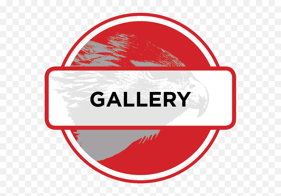 Icon Gallery - Gallery Icon Png,Gallery Icon Transparent