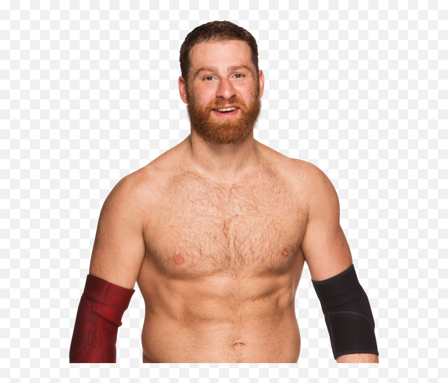 Sami Zayn Png Image - Sami Zayn Wwe Champion,Sami Zayn Png