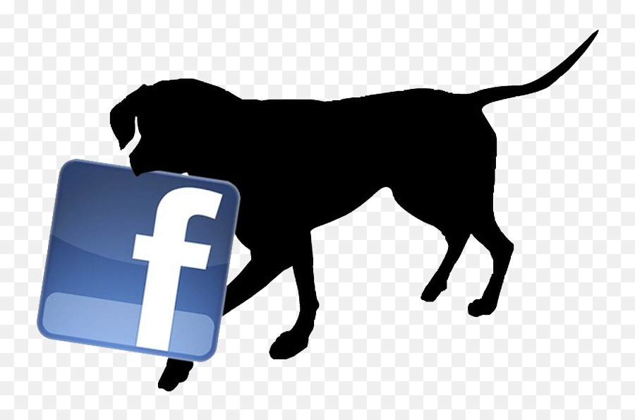 Veterinary Clinic In Monroe Nc Animal Hospital - Facebook Logo Png Dog,Personal Check Icon