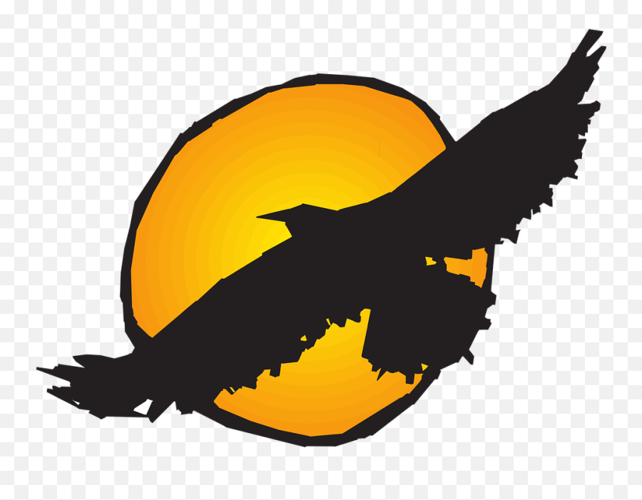 Sun Bird Flying - Free Vector Graphic On Pixabay Prince Technical High School Png,Sun Silhouette Png