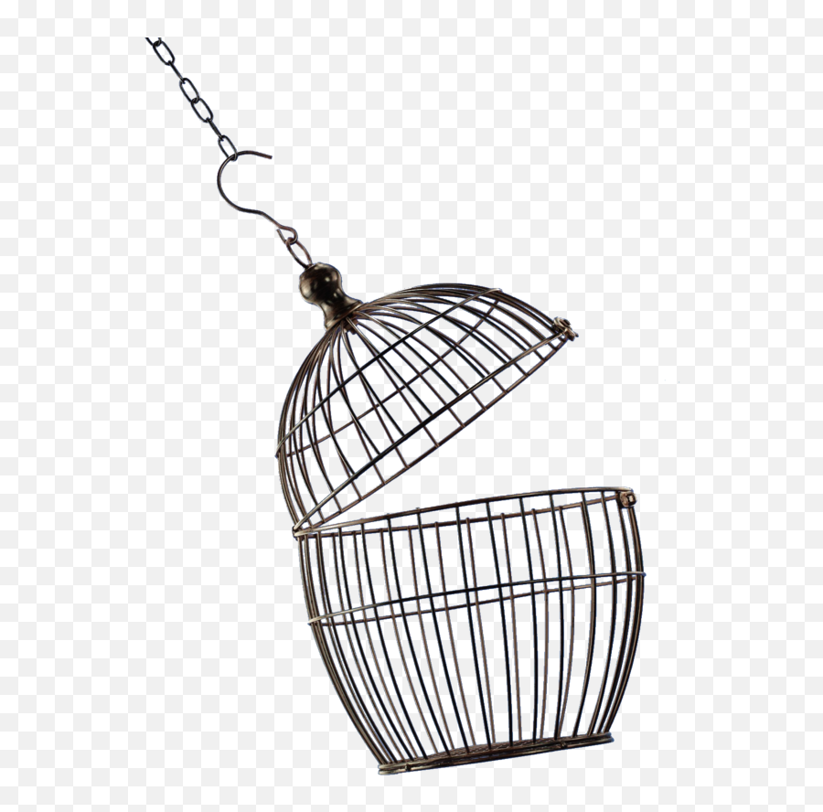Png Cage Transparent Background - Open Bird Cage Png,Cage Transparent
