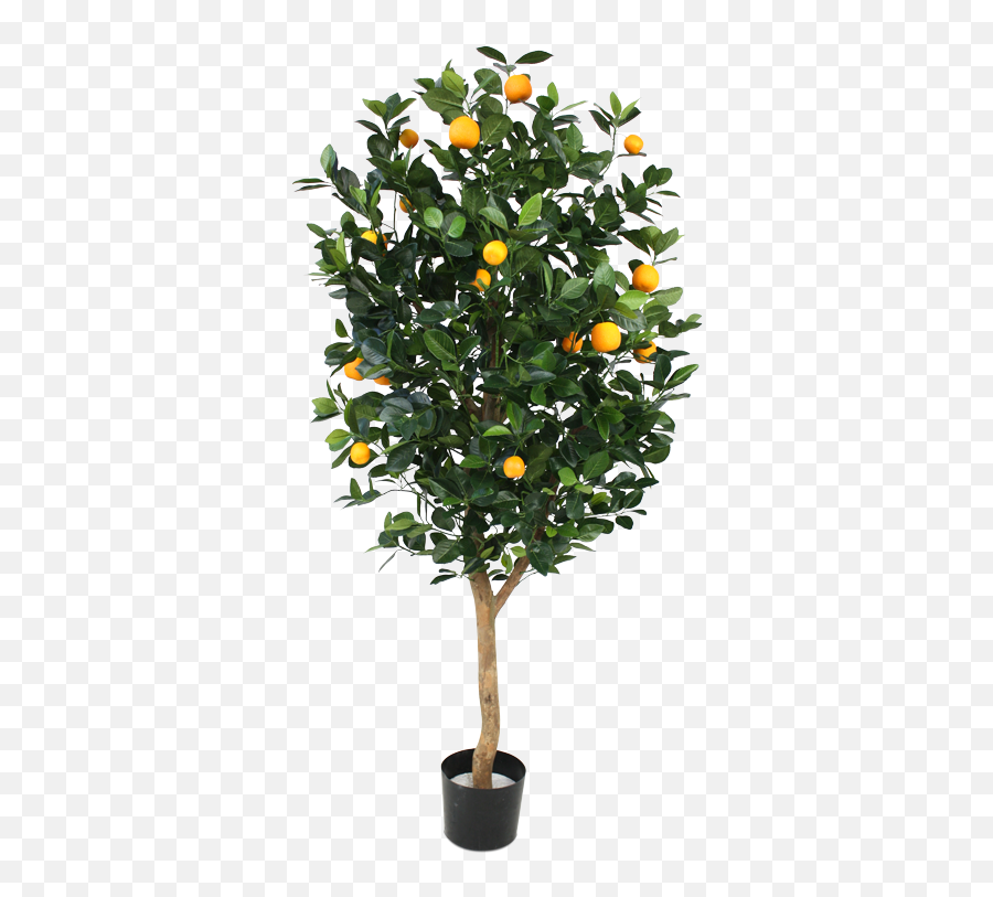 Orange Tree Deluxe 150cm - Grande Plantes Fleuries Extérieur Artificielles Pour Png,Orange Tree Png