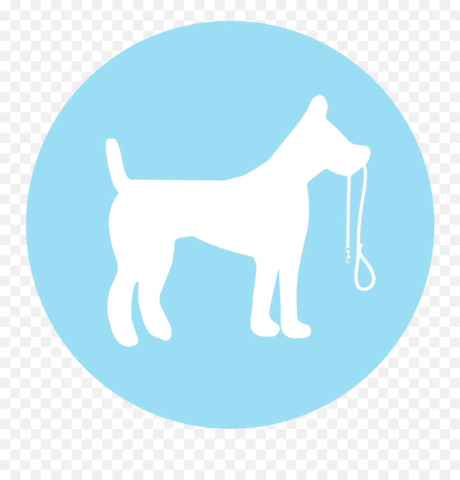 Dog Walking - Non Communicable Disease Icon 1024x1024 Collar Png,Dog Walk Icon