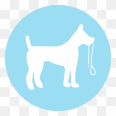 Dog Walking - Non Communicable Disease Icon 1024x1024 Collar Png,Dog Walk Icon