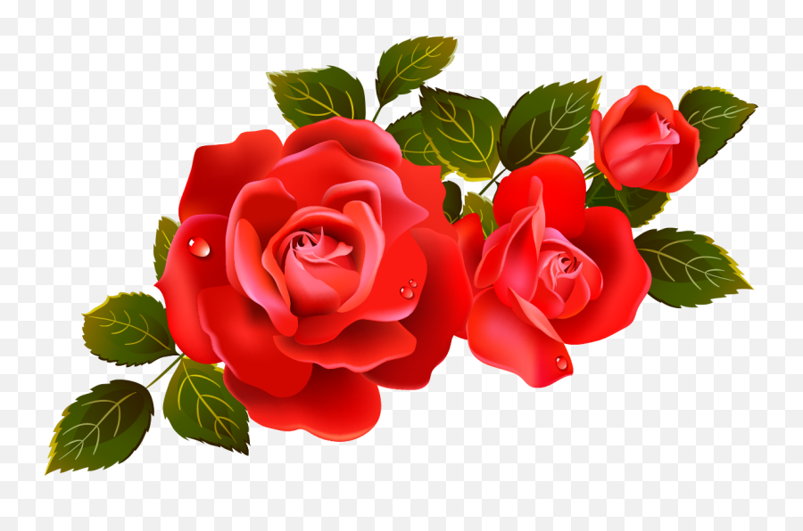Download Red Rose Png Image For - Rose Flower Vector Png,Red Rose Png