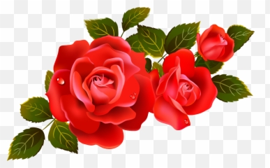 Download Red Rose Png Image For - Flower Vector