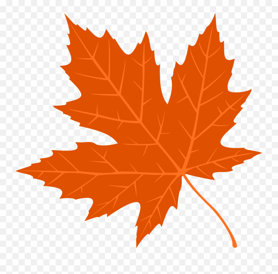 Free Png Autumn Leaves Fall Leave
