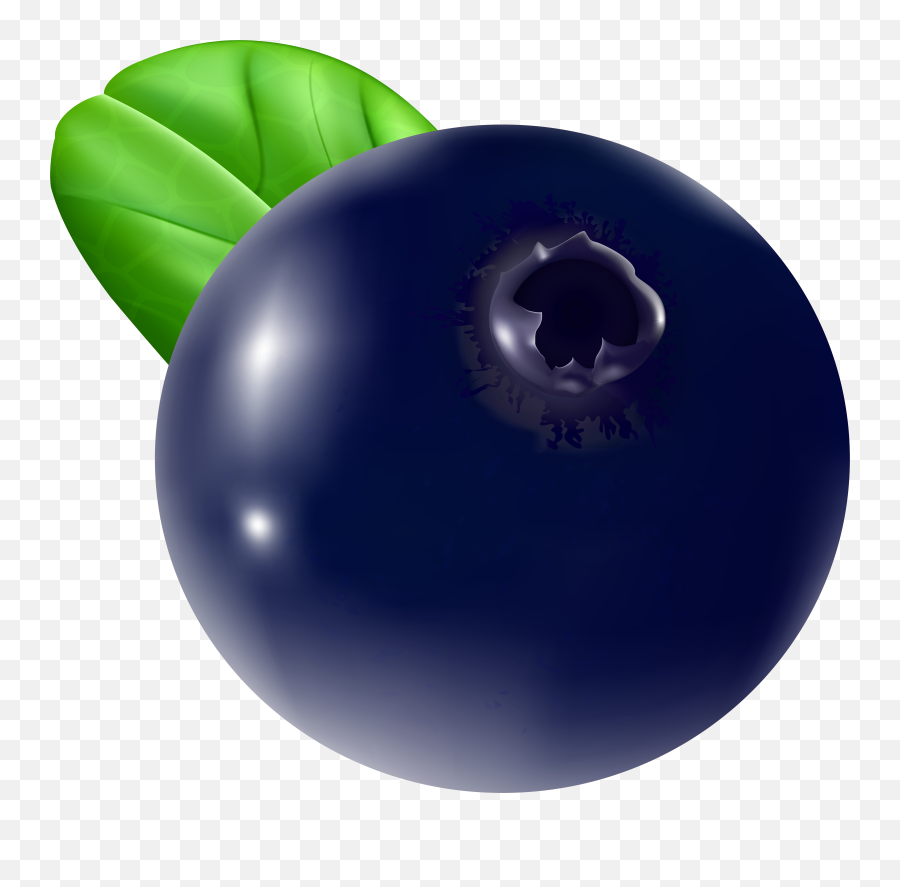 Blueberry Clipart Transparent Png Blueberries