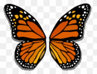 Download Free Png Butterfly Wings - Cute Cartoon
