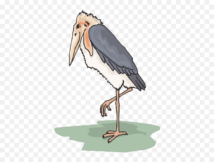 Marabou Stork Png Svg Clip Art For Web - Download Clip Art Marabou Stork,Stork Png