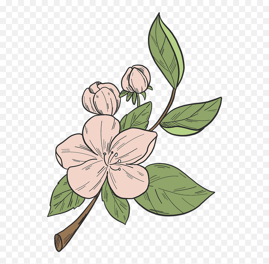 Apple Tree Flower Clipart Free Download Transparent Png - Desert Rose,Apple Tree Png