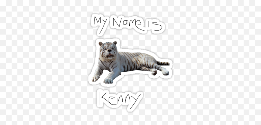 Kennet The Tiger - Kenny The Tiger Tiger W Down Syndrome Png,Tiger Transparent