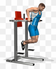 Download What Muscles Do Dips Workout - Deep Tricipiti Dips Workout Png,Workout Png