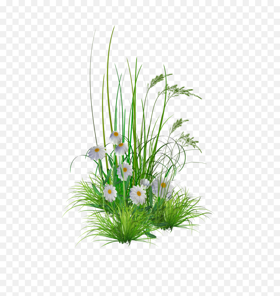 Library Of Flower Gardening Image Transparent Stock Png - Png Hd Image Of Flowers,Gardening Png