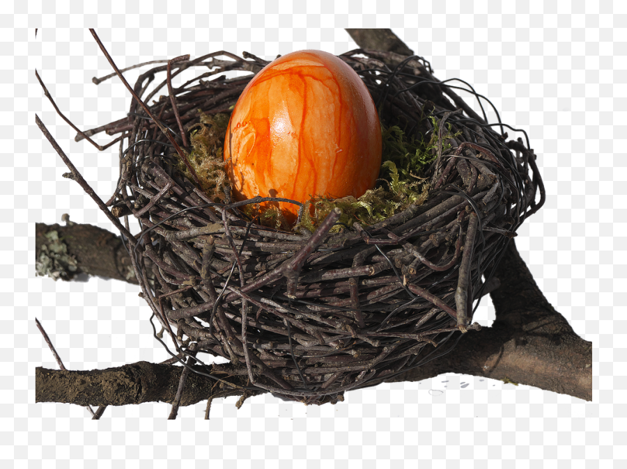 Birdu0027s Nest Easter - Free Photo On Pixabay Png,Bird Nest Png