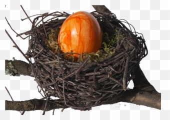 Birdu0027s Nest Easter - Free Photo On Pixabay Png,Bird Nest Png