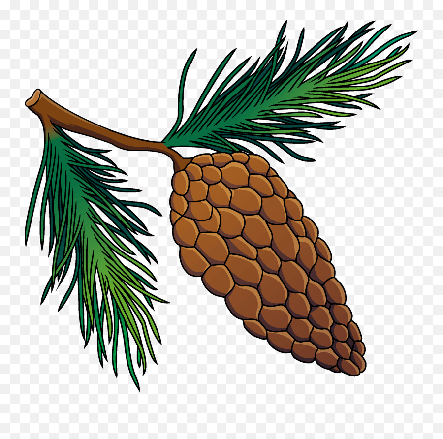 Pine Cone Clipart Free Download Transparent Png Creazilla - Clip Art,Pine Cone Png