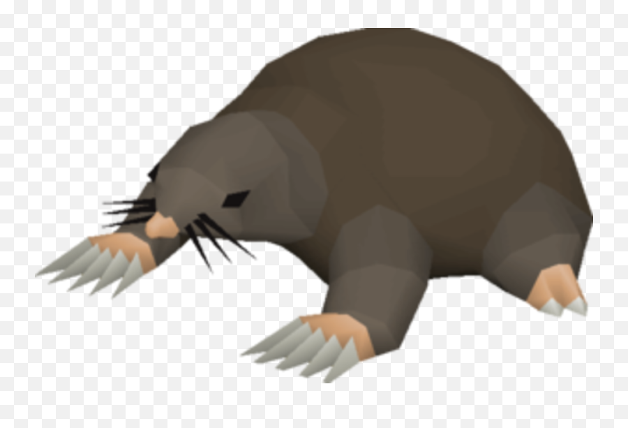 Giant Mole - Giant Mole Runescape Png,Mole Png