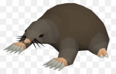 Giant Mole - Giant Mole Runescape Png,Mole Png