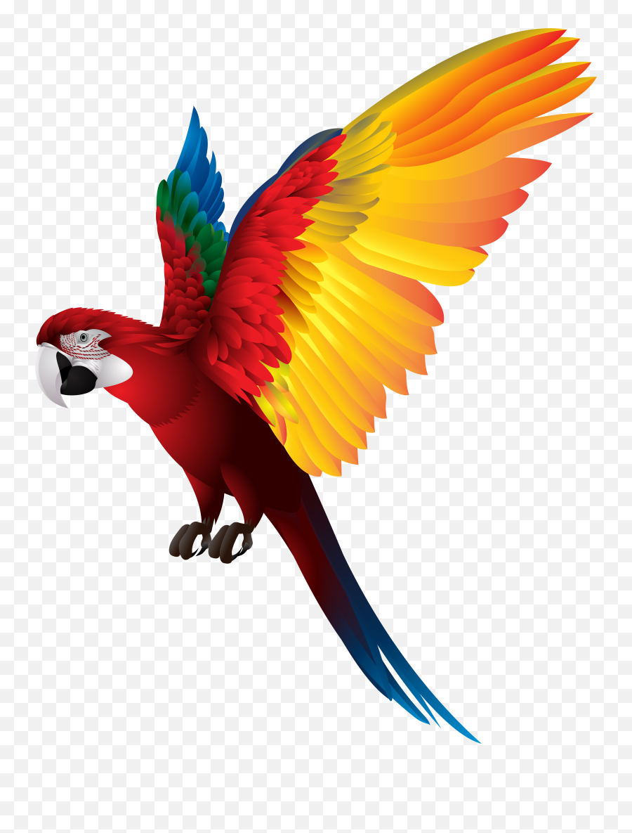 Parrot Clipart Transparent Png