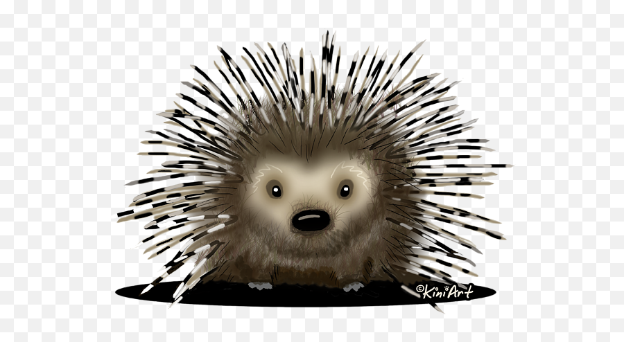 Download Bleed Area May Not Be Visible - Domesticated Hedgehog Png,Porcupine Png