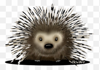 Download Bleed Area May Not Be Visible - Domesticated Hedgehog Png,Porcupine Png
