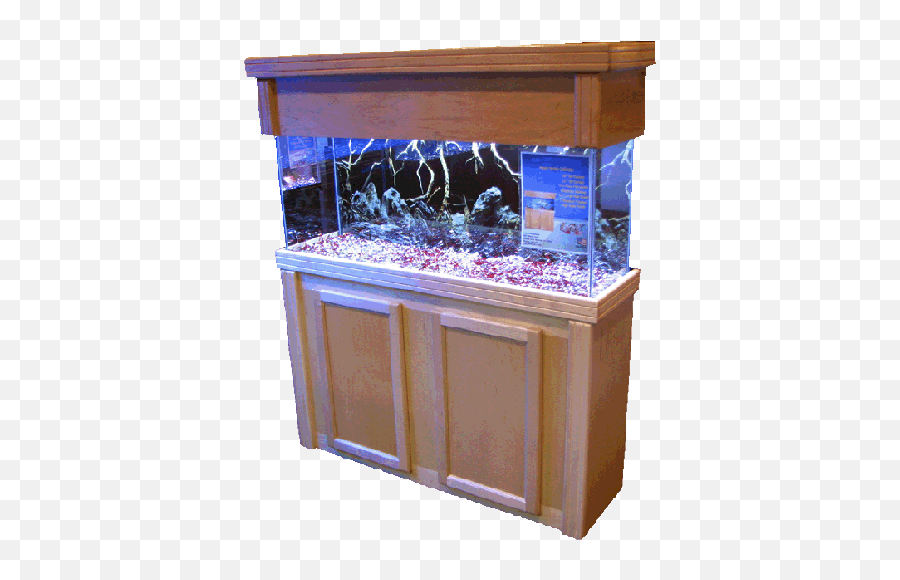 Download 55 Gallon Fish Tank Stand In - Fish Tank Stand Png,Aquarium Png