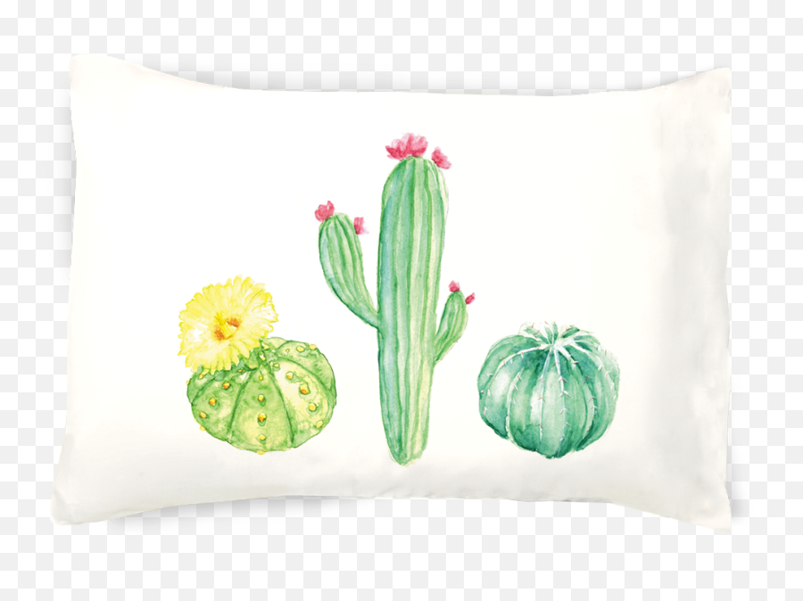 Cute Cactus Png - Cactus Transparent Cartoon Jingfm Cactus Pillow Transparent Background,Cute Cactus Png