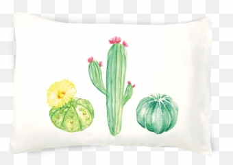 Cute Cactus Png - Transparent Cartoon Jingfm Pillow Background