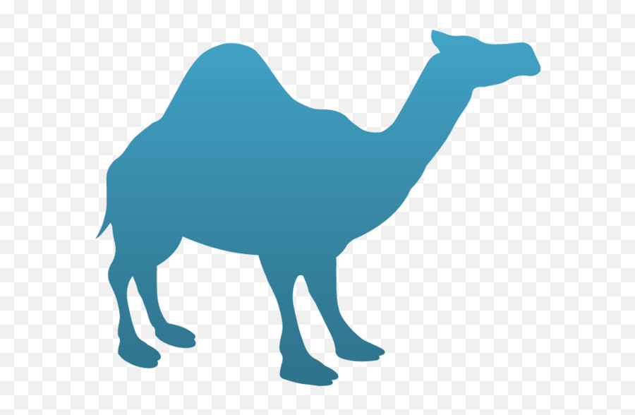 Camel Temporary Tattoo - Intelligentsia Coffee Silver Lake Coffeebar Png,Camel Transparent Background