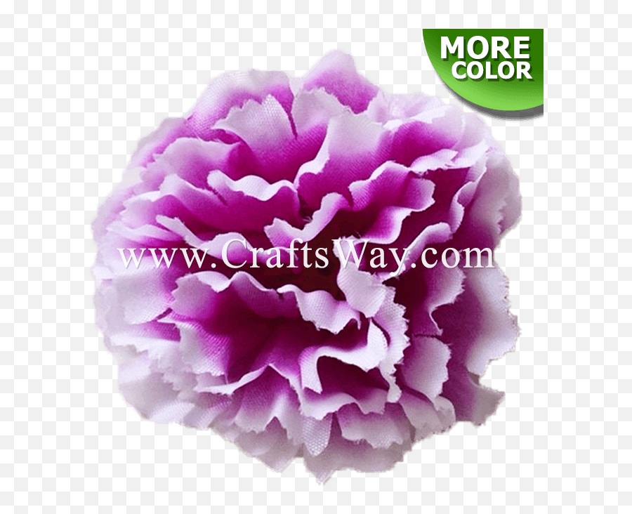 Craftsway - Peony Png,Carnation Png