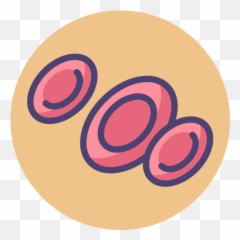 Blood Cells - Icon png
