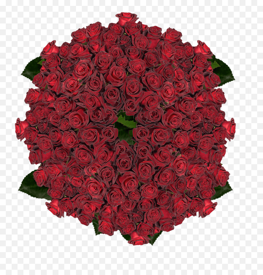 Buy Black Roses - Lovely Png,Black Roses Png