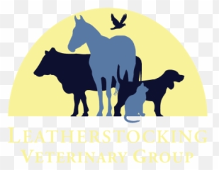 Veterinarian Cow Transparent U0026 Png Clipart Free Download - Ywd Vet Pharma,Veterinarian Png