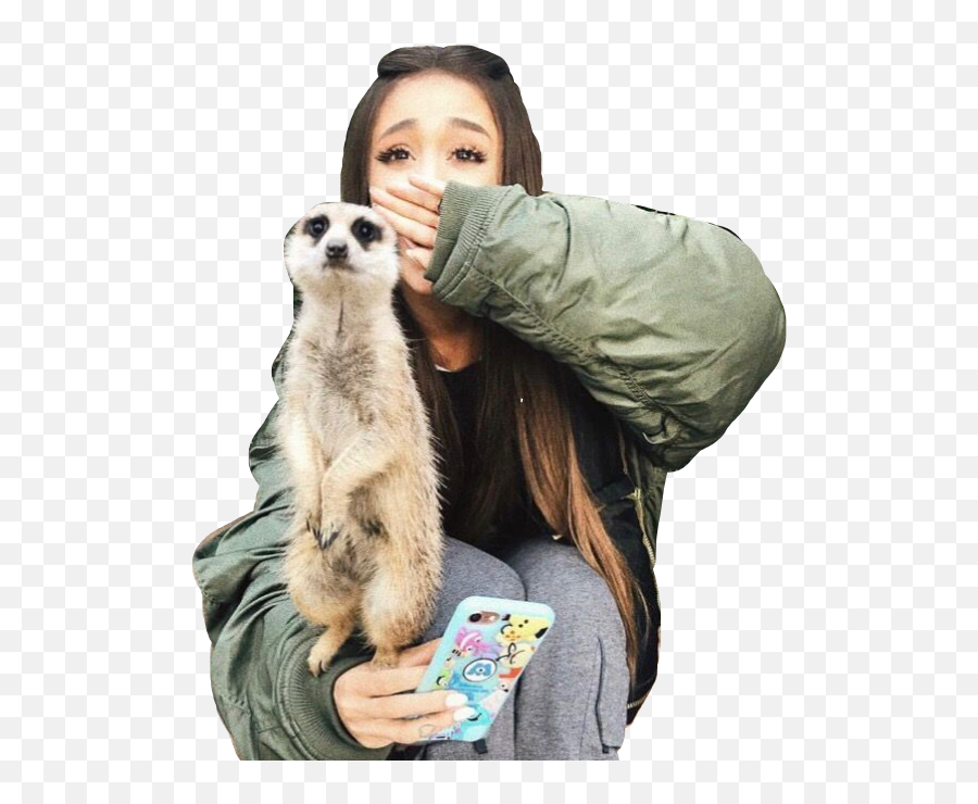 Download Arianagrande Meerkat Zoo Cute Freetoedit - Ariana Ariana Grande Australia Zoo Png,Meerkat Png