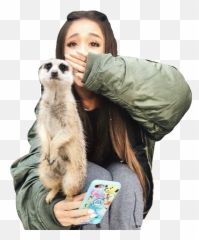 Download Arianagrande Meerkat Zoo Cute Freetoedit - Ariana Ariana Grande Australia Zoo Png,Meerkat Png